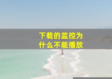 下载的监控为什么不能播放