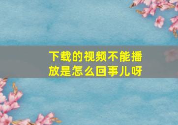 下载的视频不能播放是怎么回事儿呀