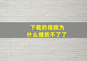 下载的视频为什么播放不了了