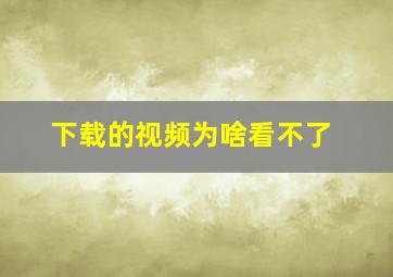 下载的视频为啥看不了