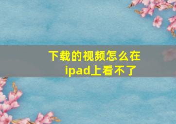 下载的视频怎么在ipad上看不了