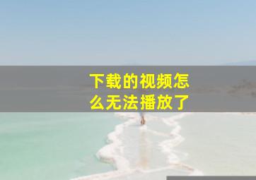 下载的视频怎么无法播放了