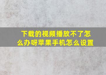 下载的视频播放不了怎么办呀苹果手机怎么设置