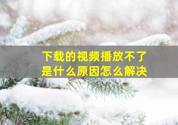 下载的视频播放不了是什么原因怎么解决