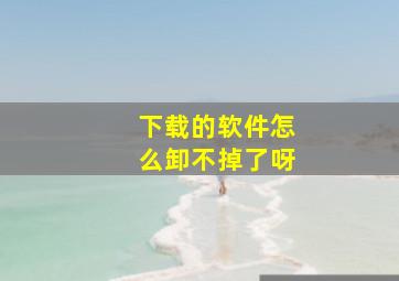 下载的软件怎么卸不掉了呀