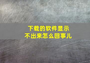 下载的软件显示不出来怎么回事儿