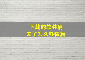 下载的软件消失了怎么办恢复