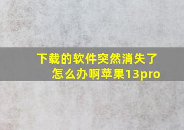 下载的软件突然消失了怎么办啊苹果13pro