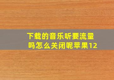 下载的音乐听要流量吗怎么关闭呢苹果12