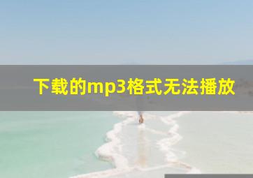 下载的mp3格式无法播放