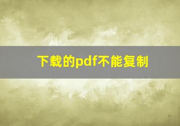 下载的pdf不能复制