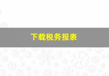 下载税务报表