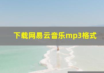 下载网易云音乐mp3格式