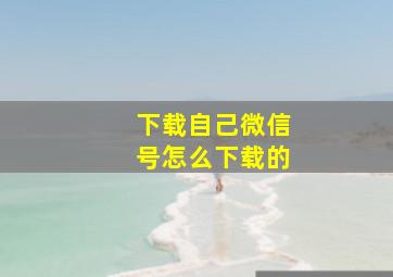 下载自己微信号怎么下载的