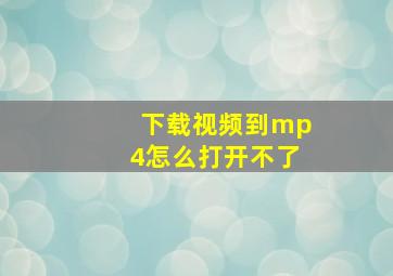 下载视频到mp4怎么打开不了