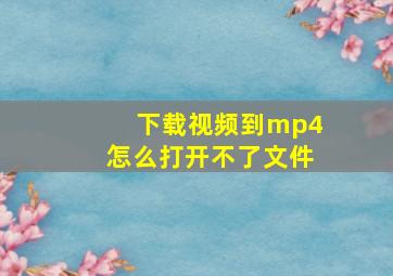 下载视频到mp4怎么打开不了文件