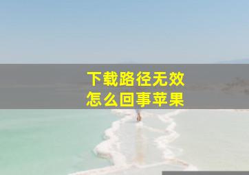 下载路径无效怎么回事苹果