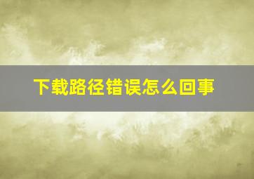 下载路径错误怎么回事