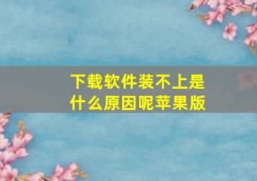 下载软件装不上是什么原因呢苹果版