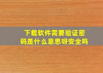 下载软件需要验证密码是什么意思呀安全吗