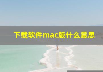 下载软件mac版什么意思