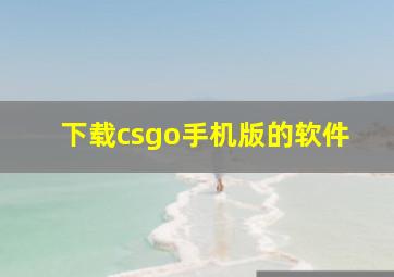 下载csgo手机版的软件