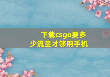 下载csgo要多少流量才够用手机