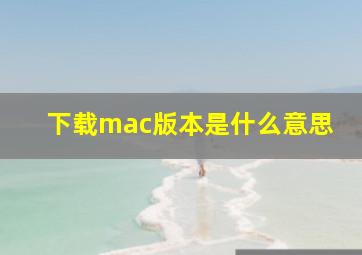 下载mac版本是什么意思