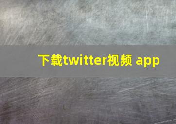 下载twitter视频 app