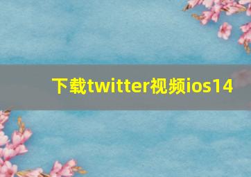 下载twitter视频ios14