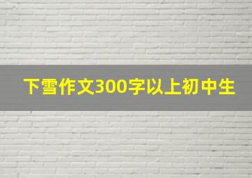 下雪作文300字以上初中生