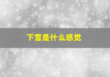 下雪是什么感觉