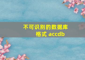 不可识别的数据库格式 accdb