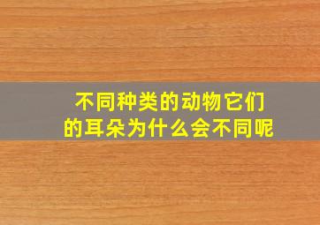 不同种类的动物它们的耳朵为什么会不同呢