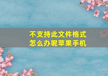 不支持此文件格式怎么办呢苹果手机