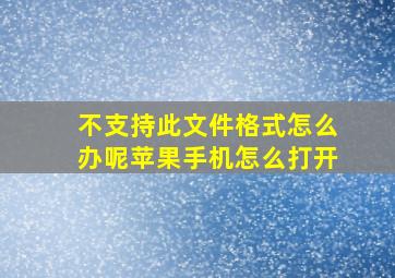 不支持此文件格式怎么办呢苹果手机怎么打开