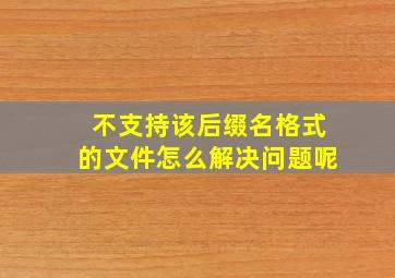 不支持该后缀名格式的文件怎么解决问题呢