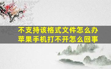 不支持该格式文件怎么办苹果手机打不开怎么回事