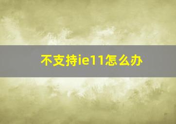 不支持ie11怎么办