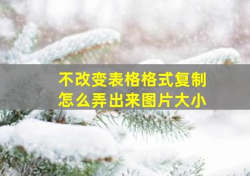 不改变表格格式复制怎么弄出来图片大小