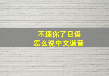 不理你了日语怎么说中文谐音