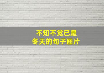 不知不觉已是冬天的句子图片