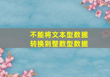 不能将文本型数据转换到整数型数据