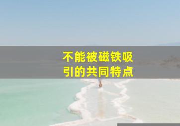 不能被磁铁吸引的共同特点