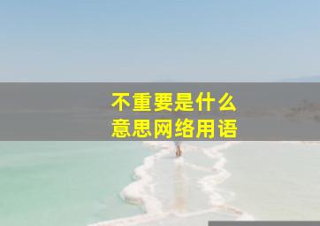 不重要是什么意思网络用语