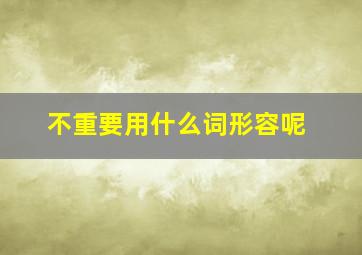 不重要用什么词形容呢