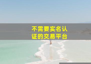 不需要实名认证的交易平台