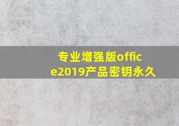 专业增强版office2019产品密钥永久