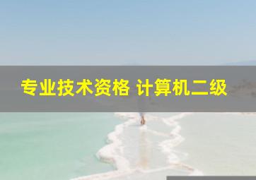 专业技术资格 计算机二级