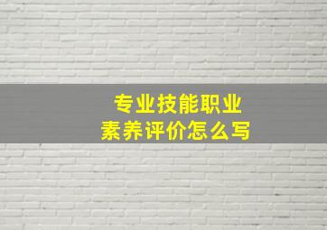 专业技能职业素养评价怎么写